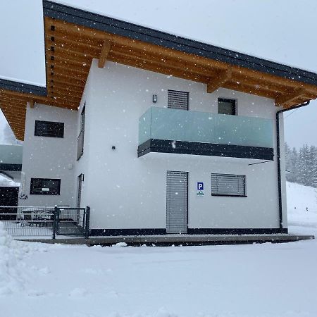 Apartments Mountainview Майсхофен Экстерьер фото